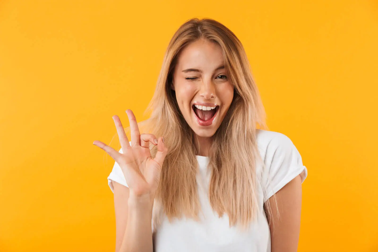 Affiliate Program